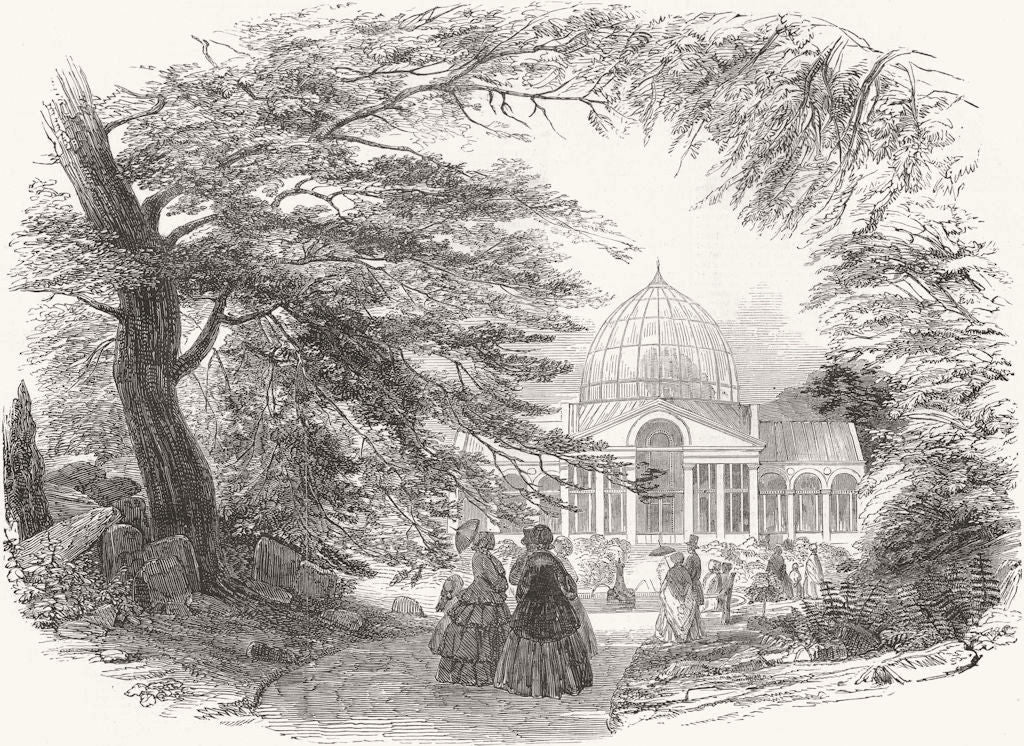 SYON. Gt Plant House 1852 old antique vintage print picture
